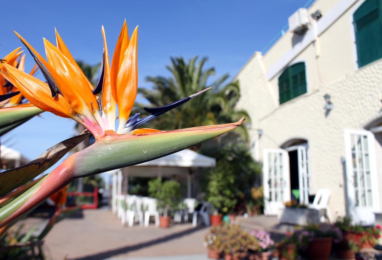 Albergo Ristorante Lucciola Santo Stefano al Mare Exteriör bild